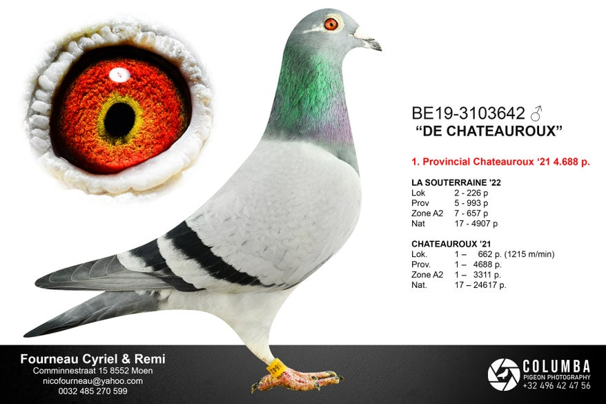 be19-3103642_blanktxtprint-high
