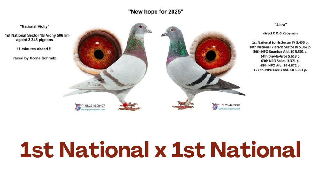 new-hope-1st-national-x-1st-national-high