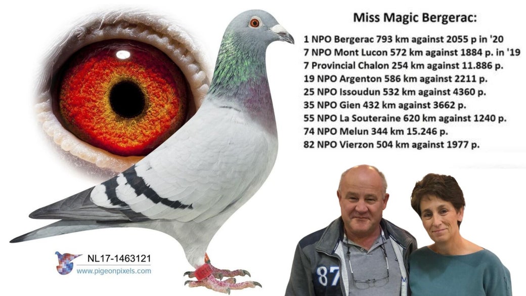 nl-17-1463121-miss-magic-bergerac-high