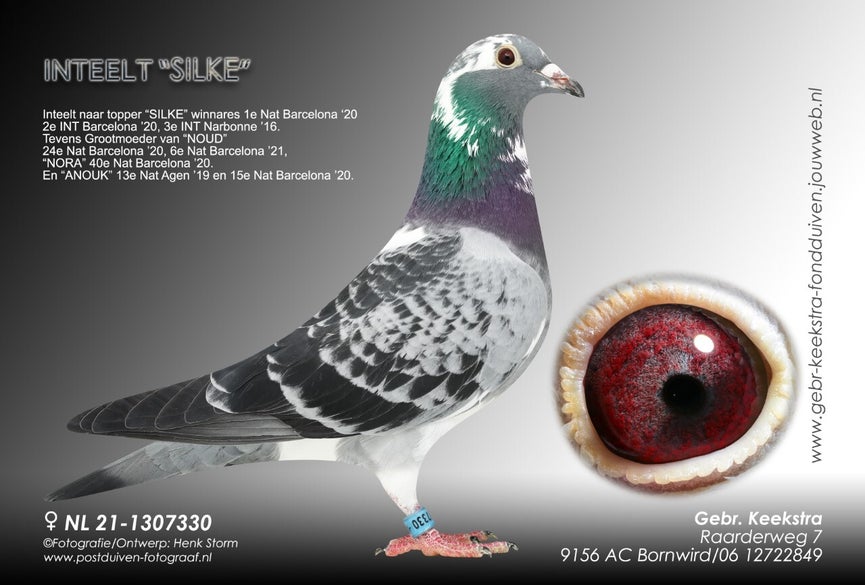 nl-21-1307330-high