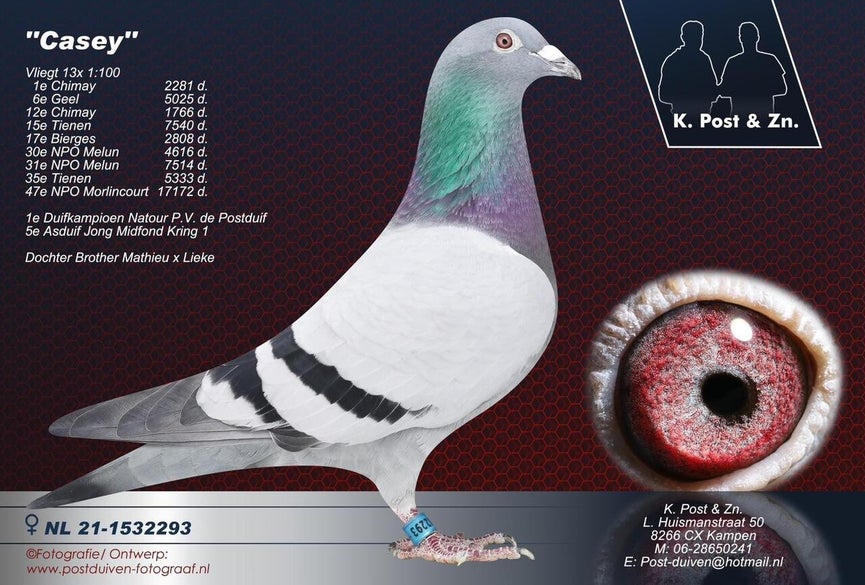 nl-21-1532293-casey-high