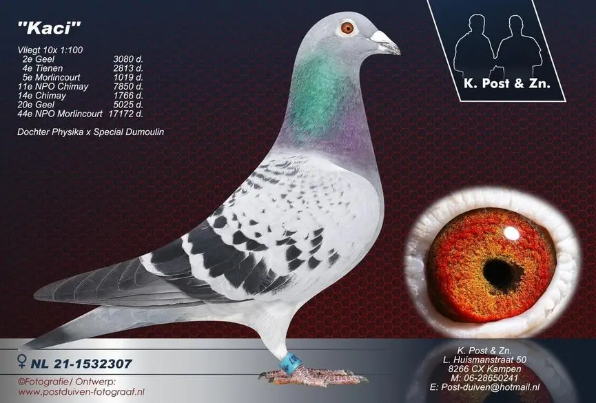 nl-21-1532307-kaci-high