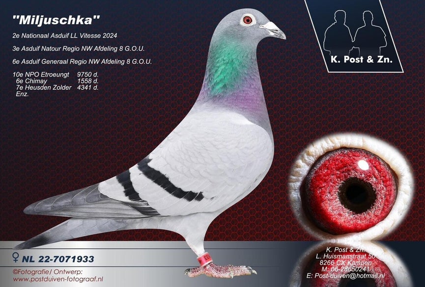 nl-22-7071933-miljuschka-high-1lyrwd