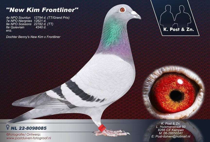 nl-22-8098085-new-kim-frontliner-22-high