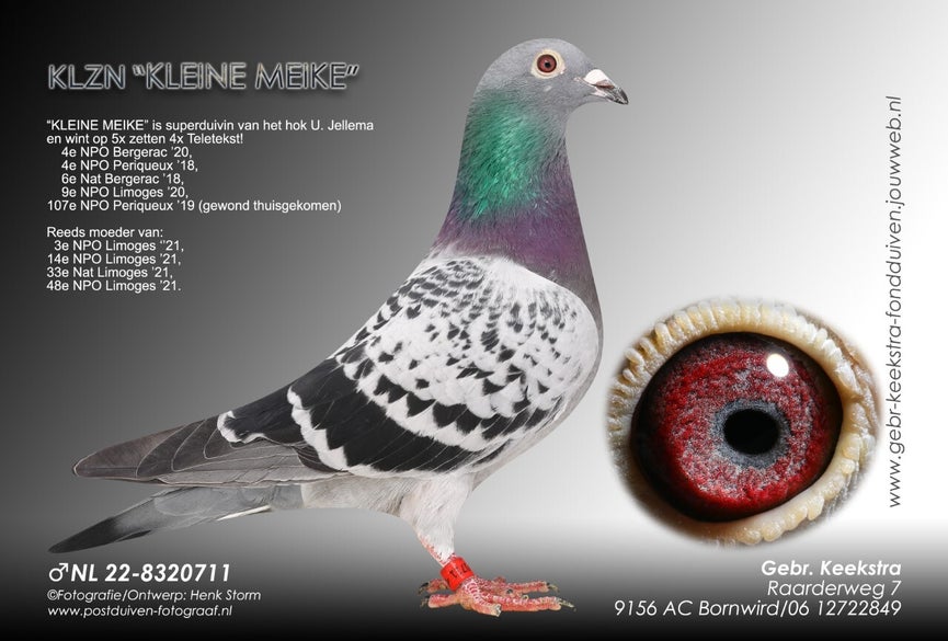 nl-22-8320711-high