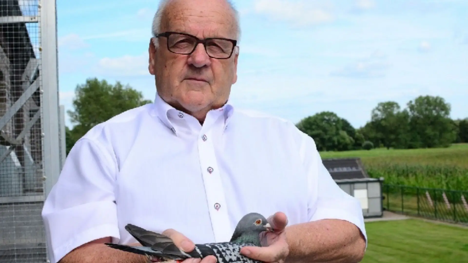 Roger Debusschere | Investing Only in the Absolute Best​ Pigeons