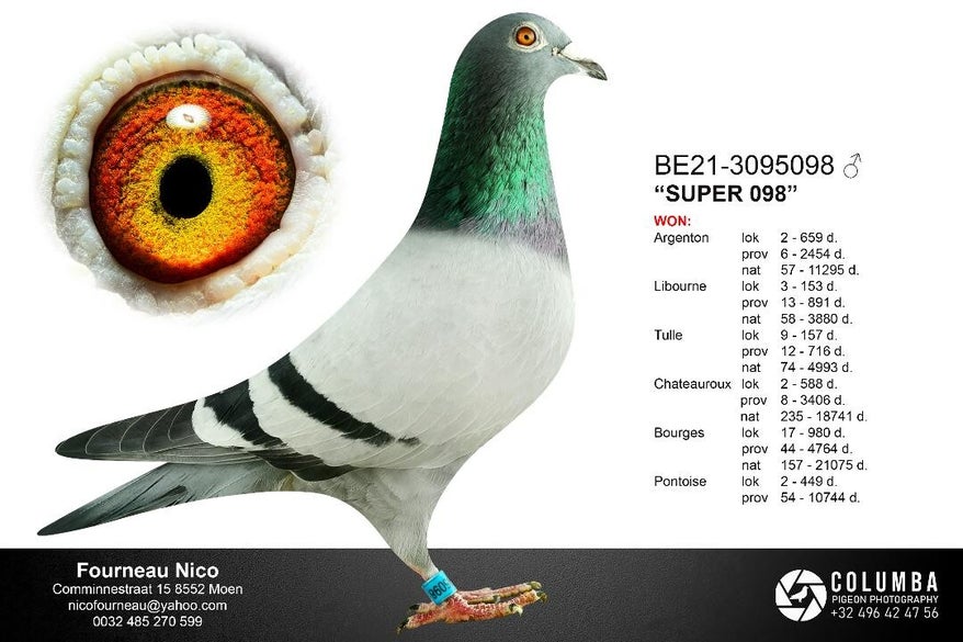 super-098-high