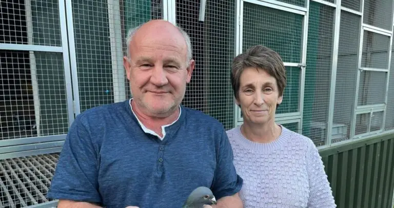 A smiling Huub Hermans, the renowned pigeon fancier from Born, proudly holding his champion racing pigeon, NL.21-1398369 "Mister Teletext", inside his well-structured racing loft.