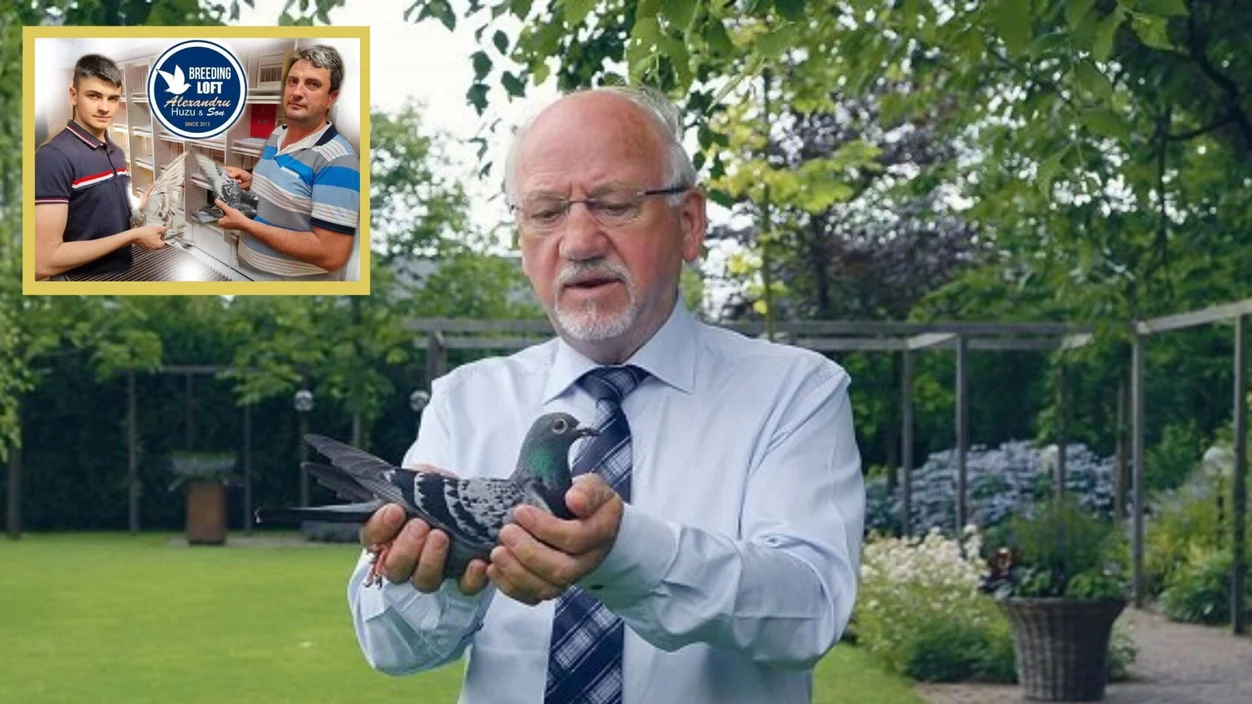 Cor de Heijde: A Living Icon in Pigeon Racing & Alexandru Huzu as the Guardian of His Legendary Bloodline