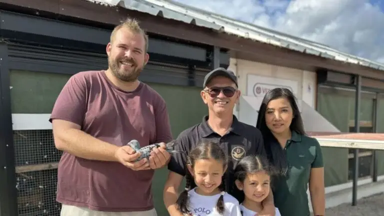 THE KRIS CLEIRBAUT PIGEONS AUCTION — The Most Important Total Sell-Out of This Decade Becomes Reality