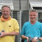 JUST DAYS LEFT:  Pigeon Boss Approved Collection of Jo Van Staeyen & Peter De Bruyn on Amazing-Wings.com