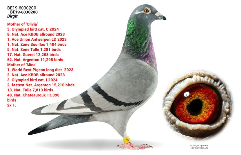 be19-6030200