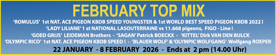 Amazing Wings February Top Mix