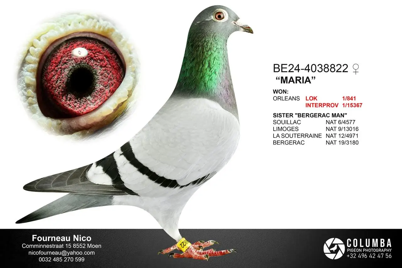 B.24-4038822 - Maria