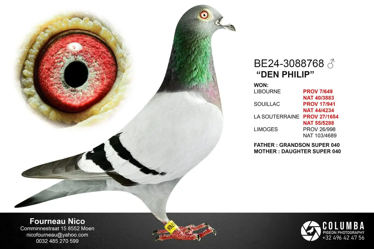 BE.24-3088768 - Den Philip