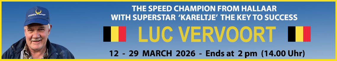 Luc Vervoort Auction