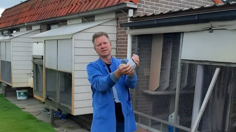 Marcel Tromp, from Egmond Binnen wins Agen | The long distance fancier who puts North Holland back on the map