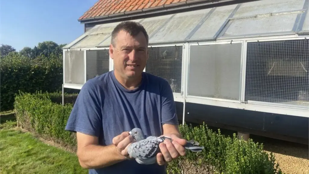 Patrick Lismont Blog Banner