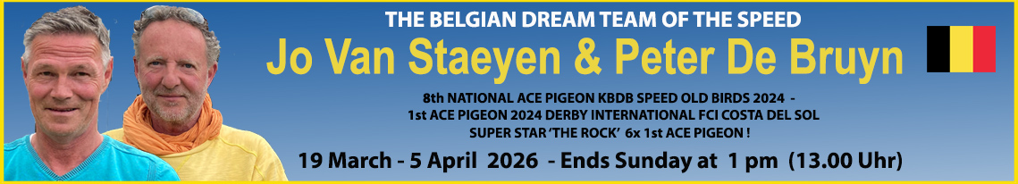 Amazing Wings, Racing Pigeon Auctions