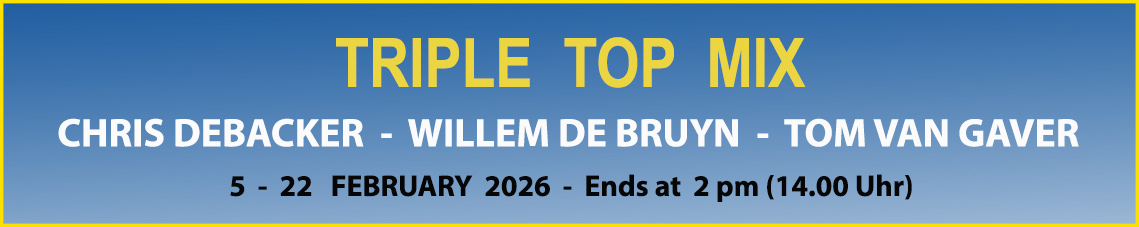 Amazing Wings Triple Top Mix