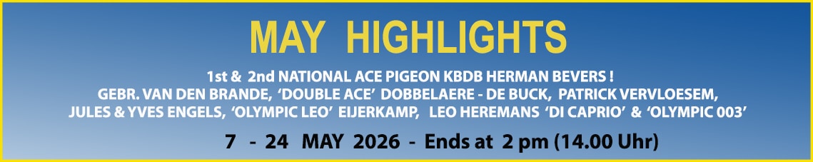 New Great Auction at Amazing-Wings.com May Highlights