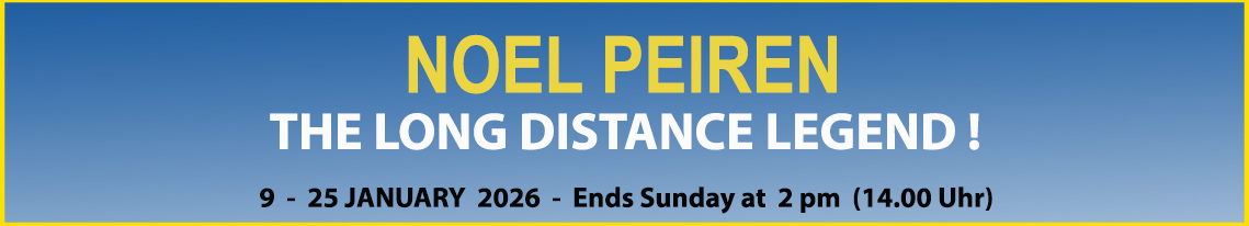 Amazing Wings Noel Peiren Auction