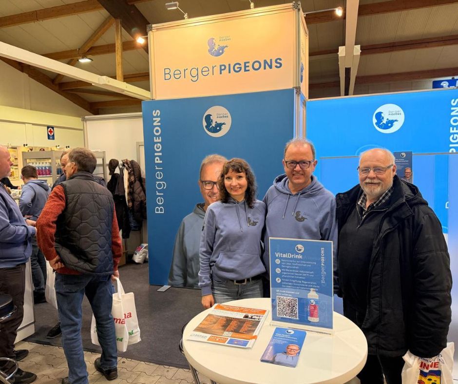 Berger Pigeons Kassel 1