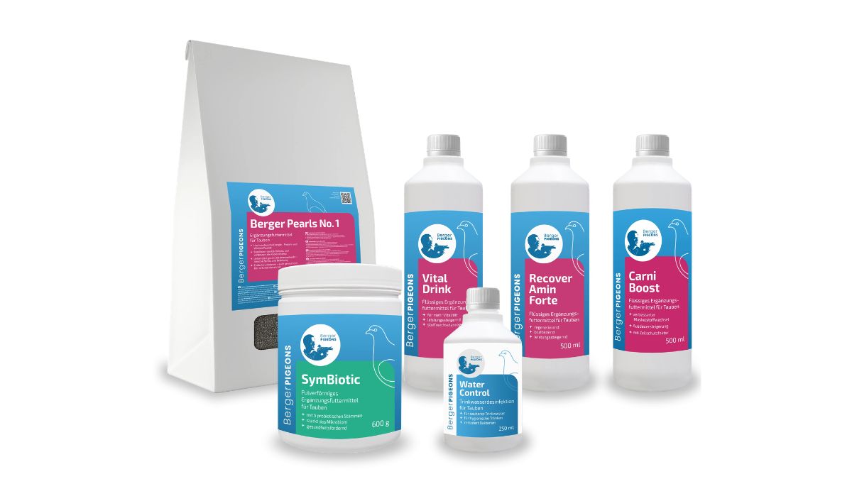 What your pigeons really need Not a cupboard full of junk, but a system that actually works