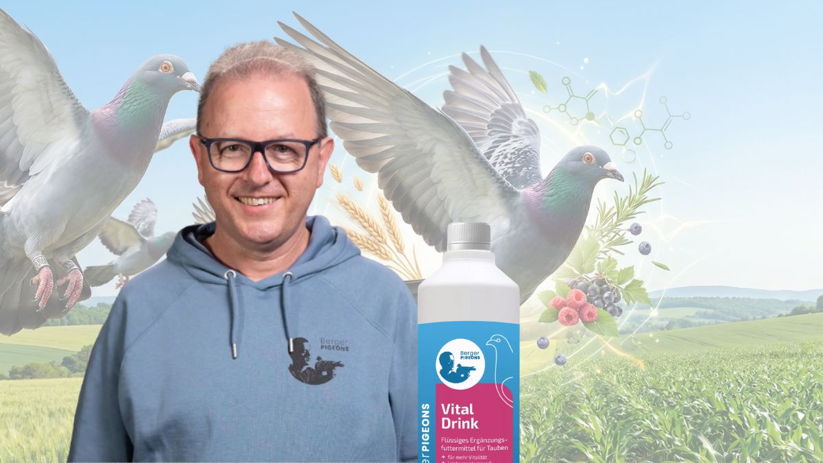Den Berger Speaks: Metabolic Support for Racing Pigeons: VitalDrink, the Natural Liver and Metabolism Booster