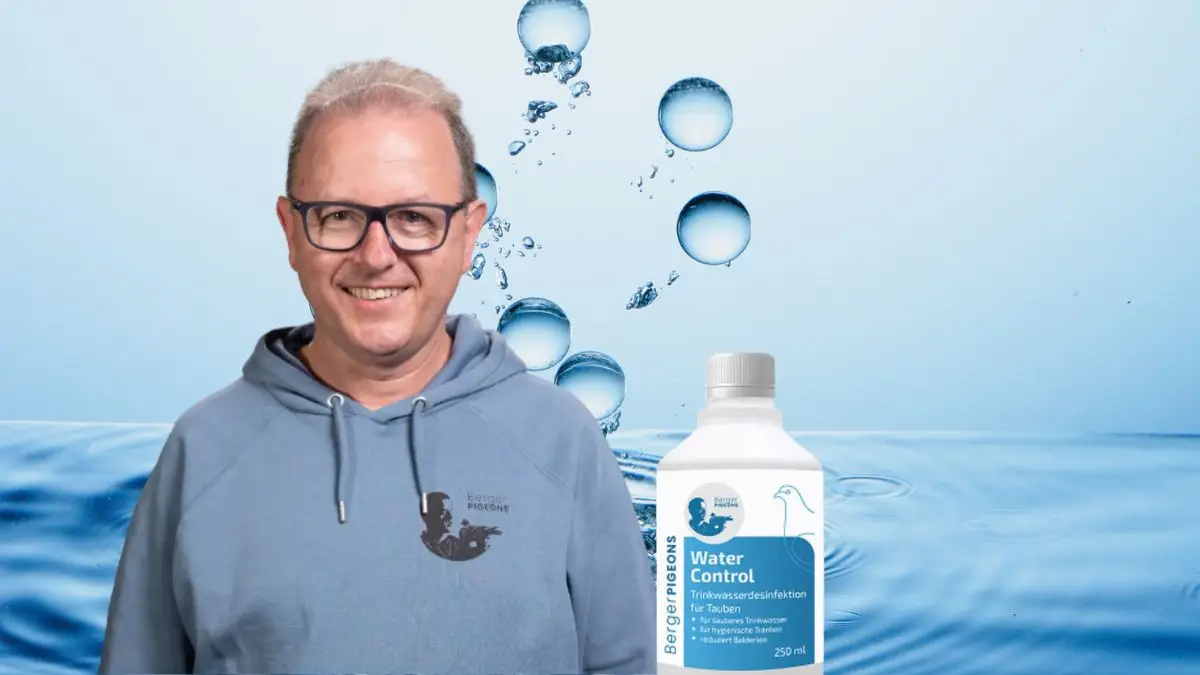 Den Berger Speaks: Water Control, the step toward sustainable drinking hygiene for racing pigeons