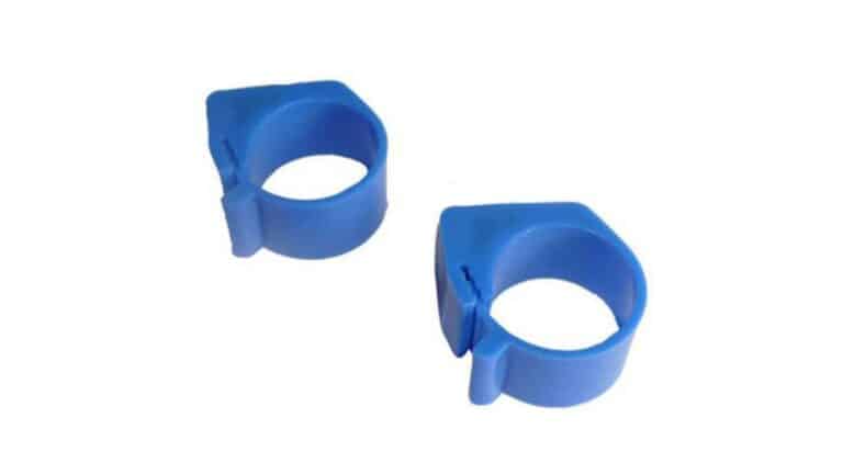 Pigeon Chip Ring