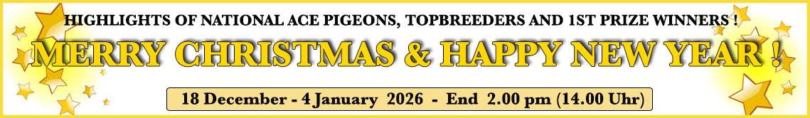 Amaing Wings, Racing Pigeon Auctions