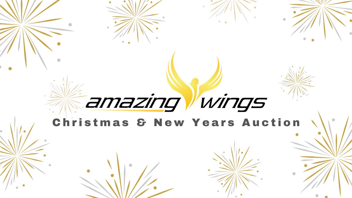 Amazing Wings, Racing Pigeon Auctions