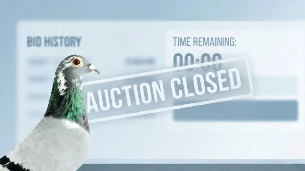 Closing Auction Blog Banner