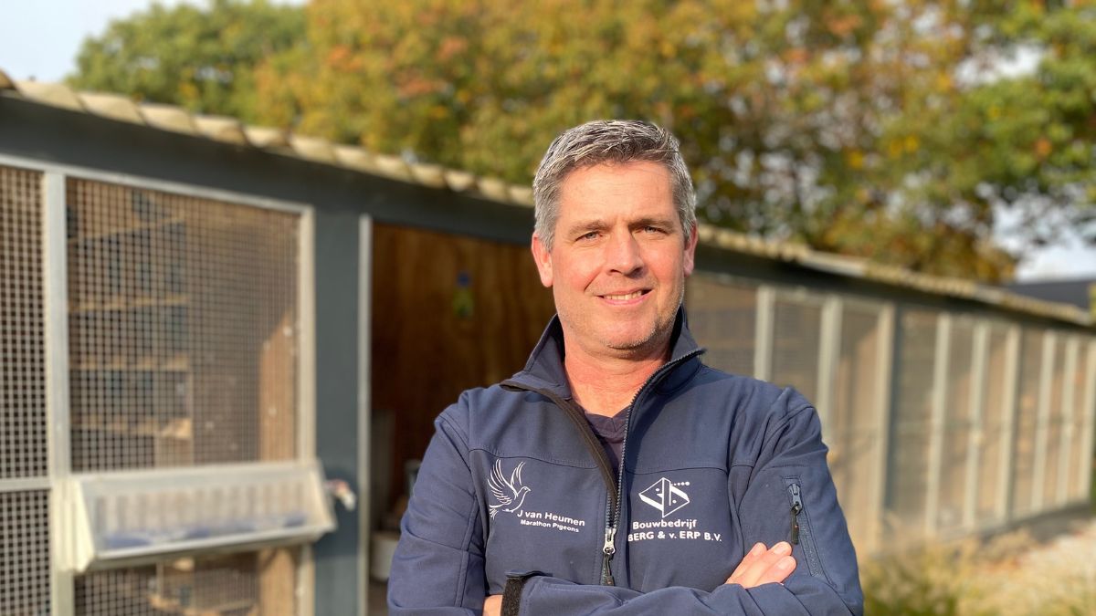 Jeroen van Heumen, Racing Pigeons