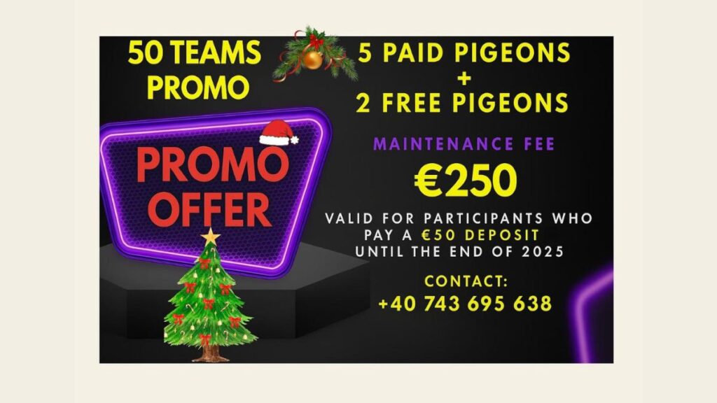 MyLoft Christmas Promo Blog Banner