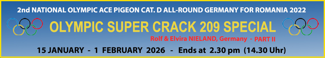 Nieland Racing Pigeons