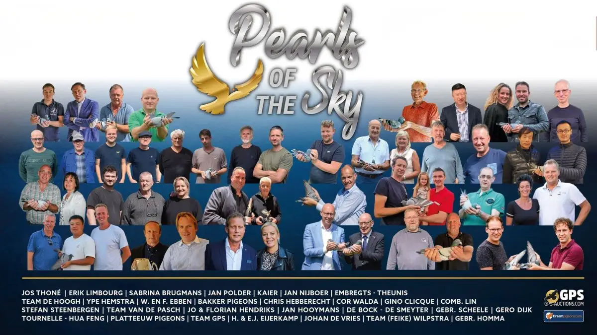 The Pearls of the Sky 2025, An edition that lifts the pigeon sport to a higher level