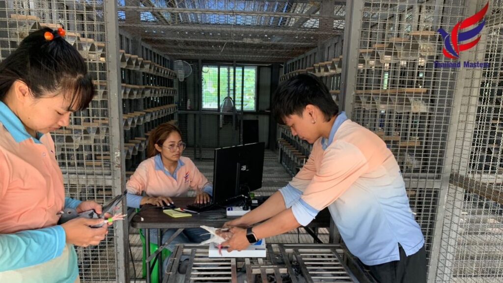 Thailand Masters FCI