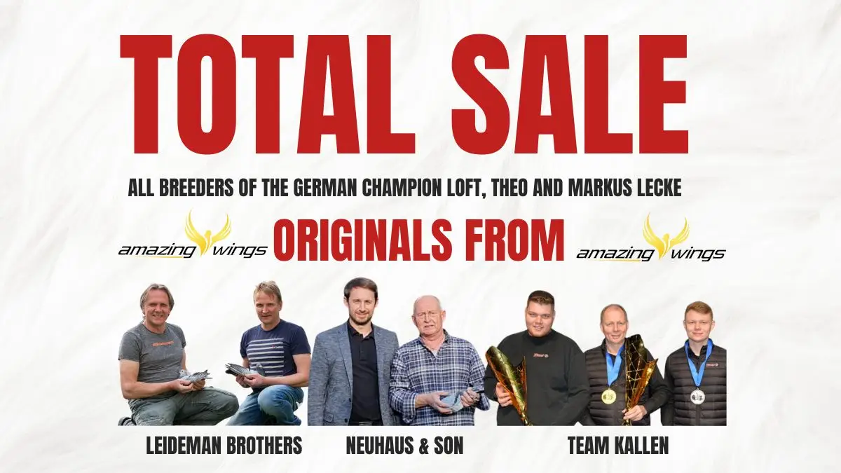 Total Auction: Lecke Opens the Breeding Engine to the World