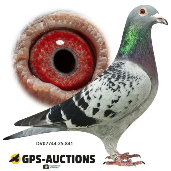 Ulrich Franzsander 10