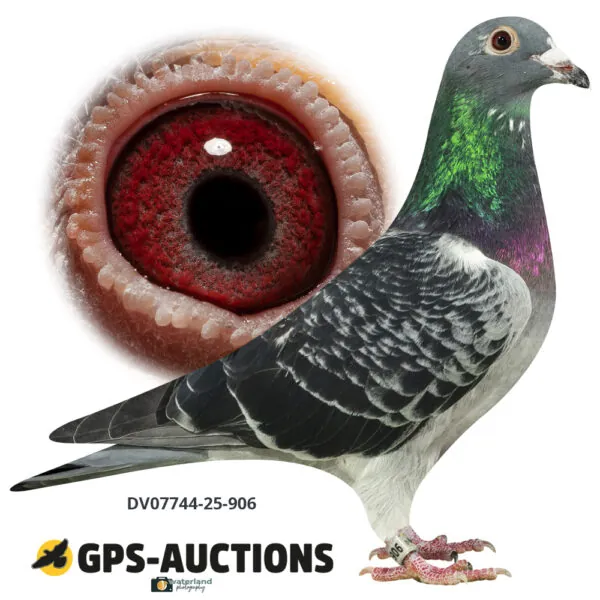 Ulrich Franzsander 12