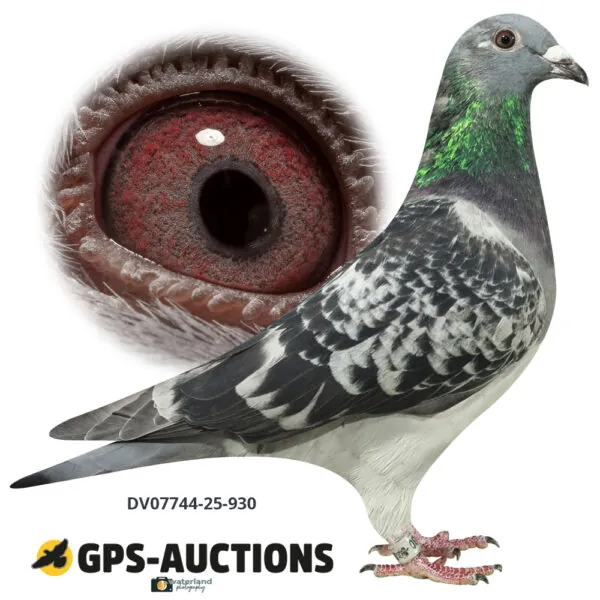 Ulrich Franzsander 13