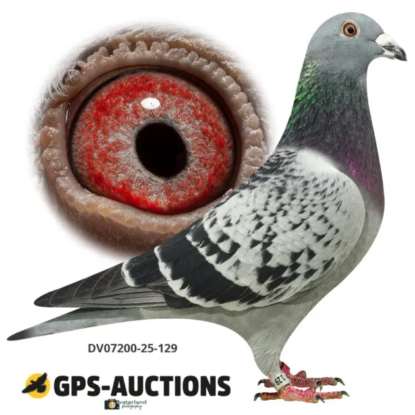 Ulrich Franzsander 2