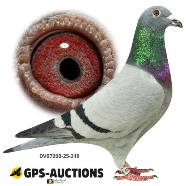 Ulrich Franzsander 3