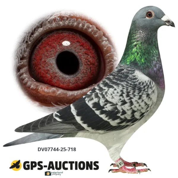 Ulrich Franzsander 4