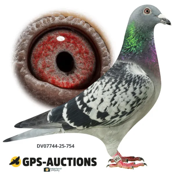 Ulrich Franzsander 5