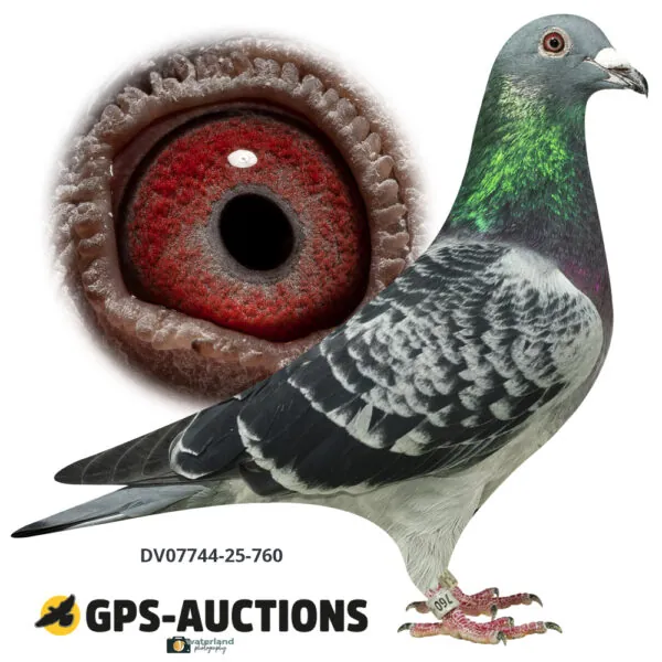 Ulrich Franzsander 6