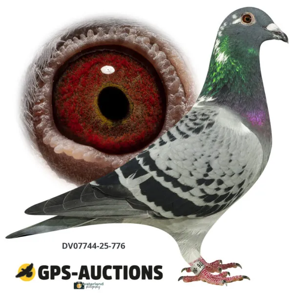 Ulrich Franzsander 7