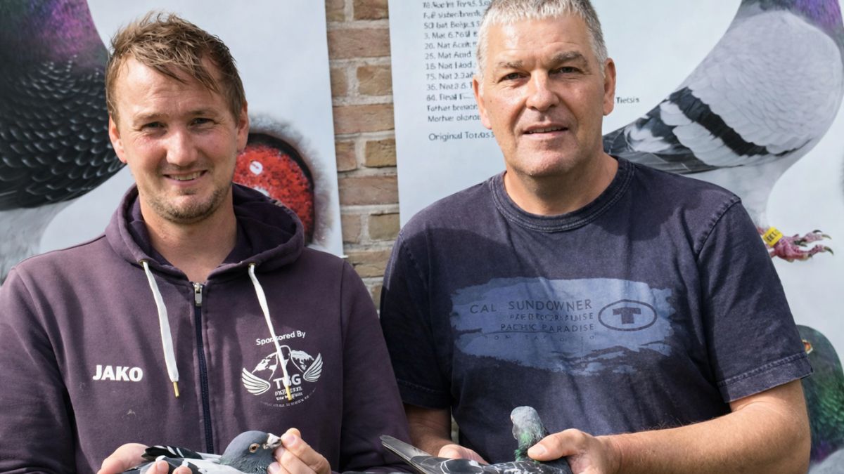 Ulrich Franzsander, Racing Pigeons